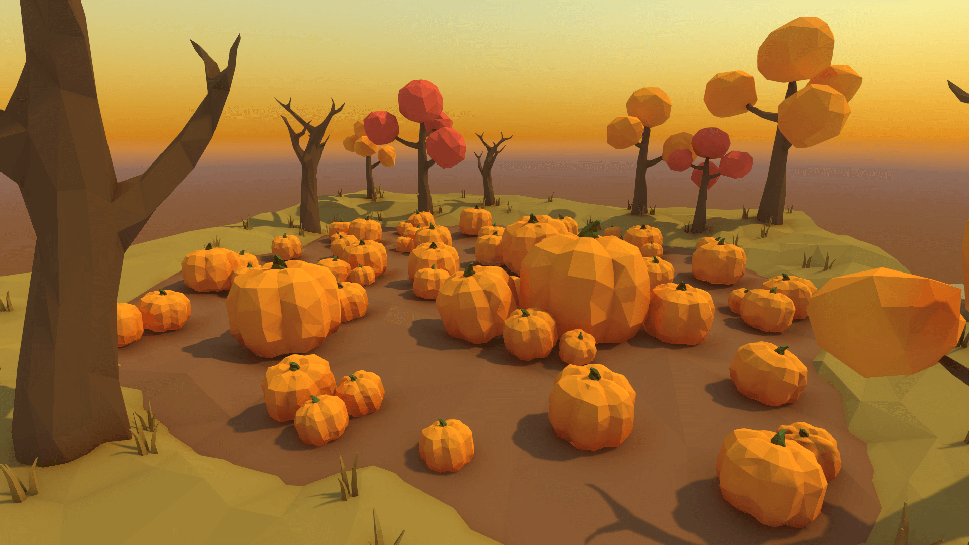 Pumpkin Patch